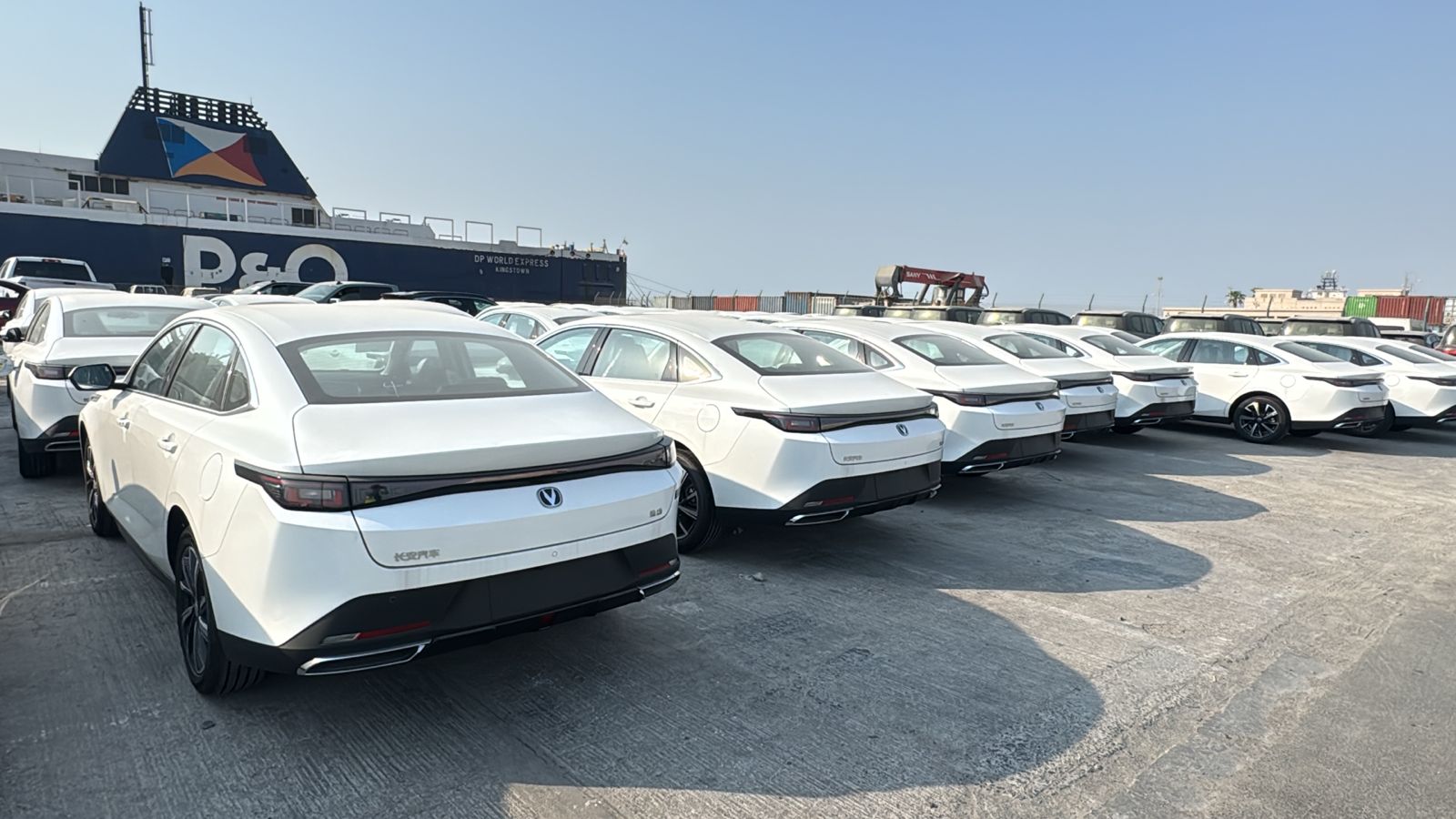 Professional Car Transport